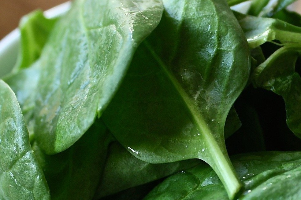 Verdura verde, espinaca, vegetales