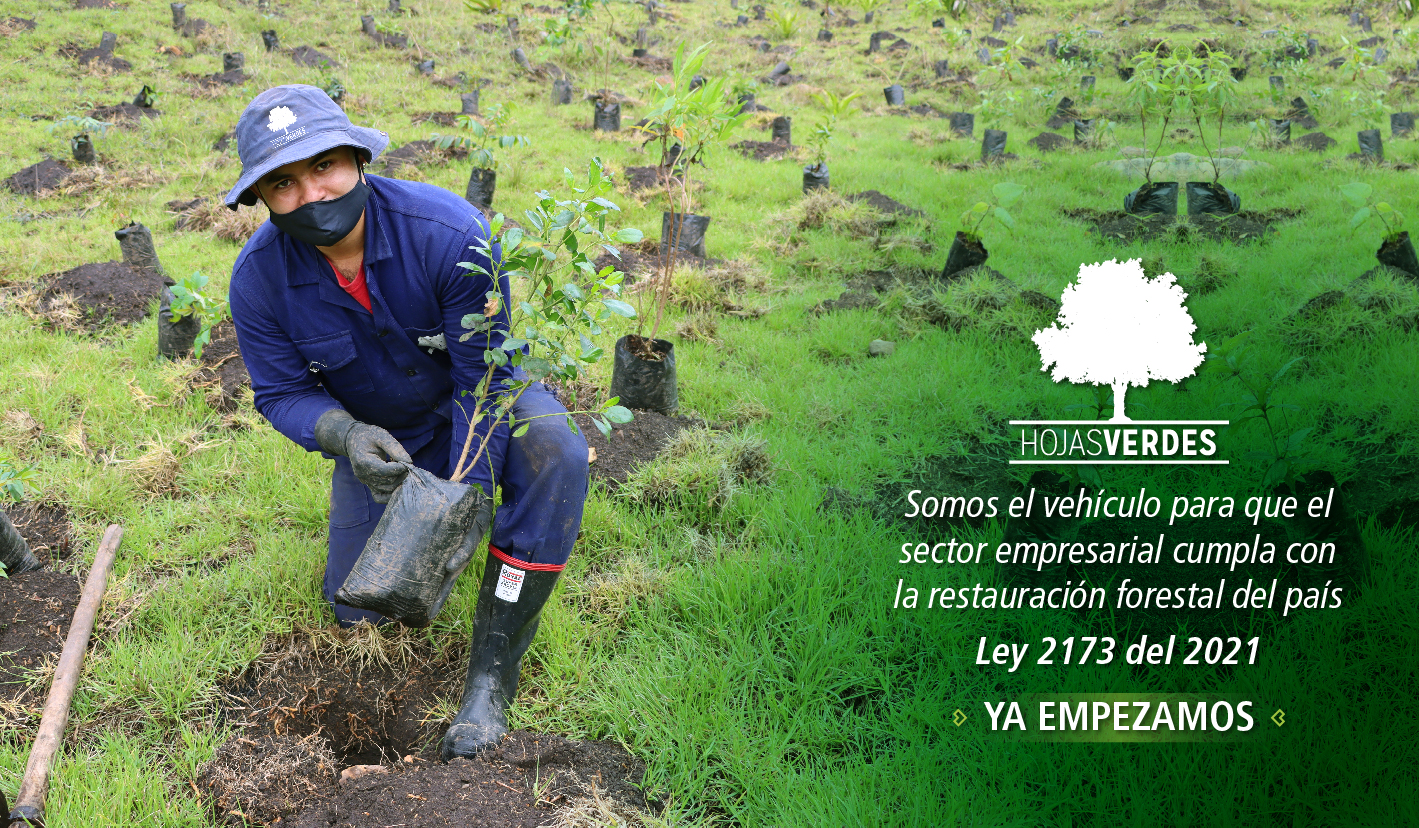 Marco legal para la Acción Climática Empresarial en Colombia