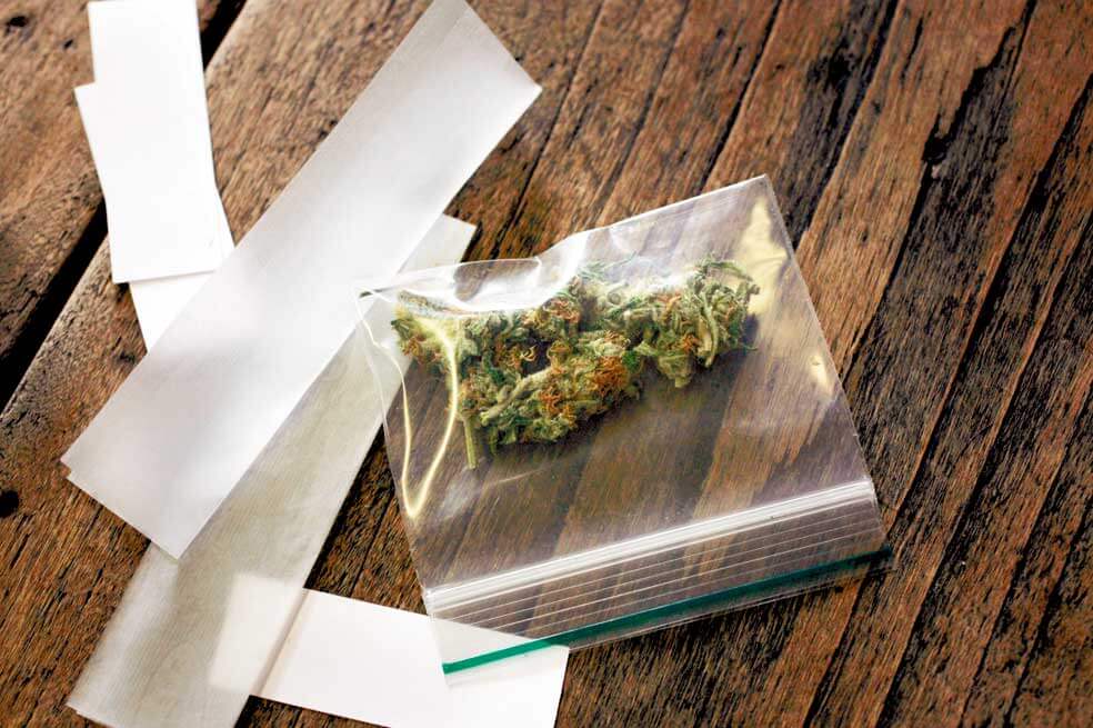 Marihuana sintética: ingenieros genéticos logran crear cannabinoides en el laboratorio por primera vez