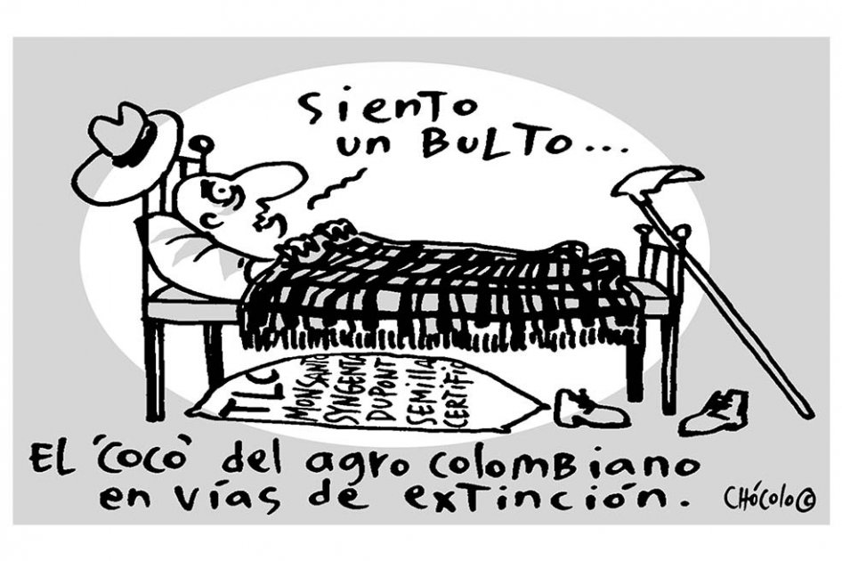 Chócolo