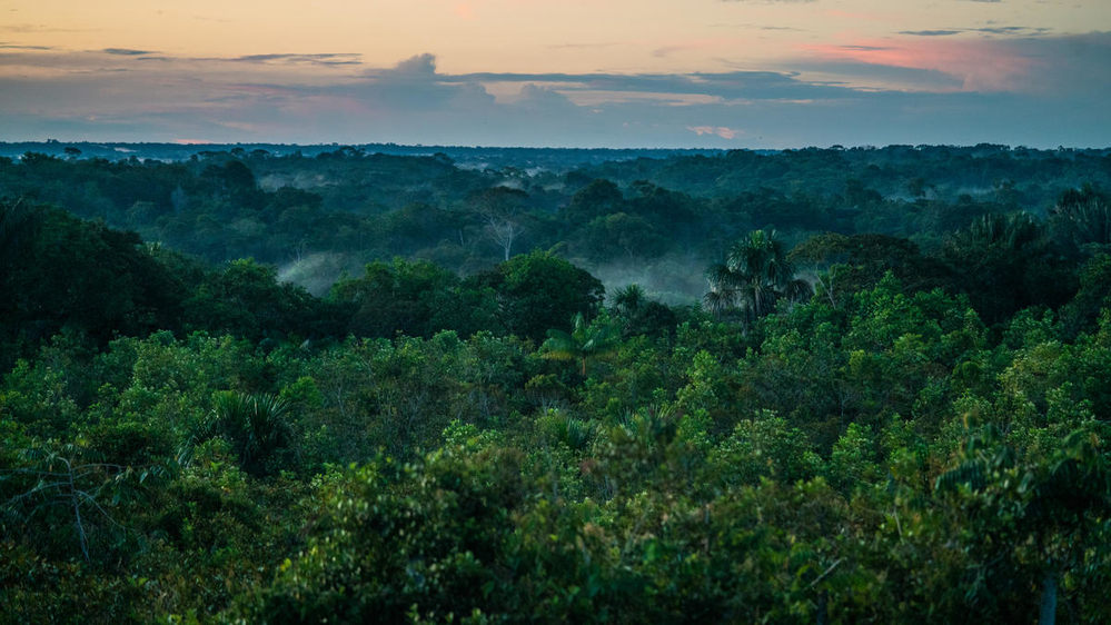 Más de 40 parlamentarios piden a Lula frenar proyecto petrolero en las costas de la Amazonía