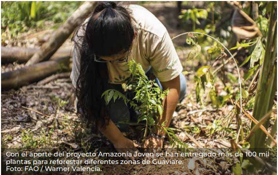 “Yo Soy Amazonía”: la campaña que busca apoyar jóvenes del Guaviare
