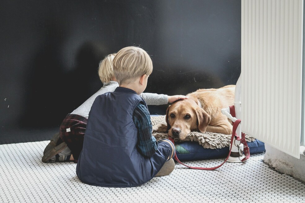Entre el riesgo y la recompensa: el dilema de niños inmunodeprimidos con mascotas