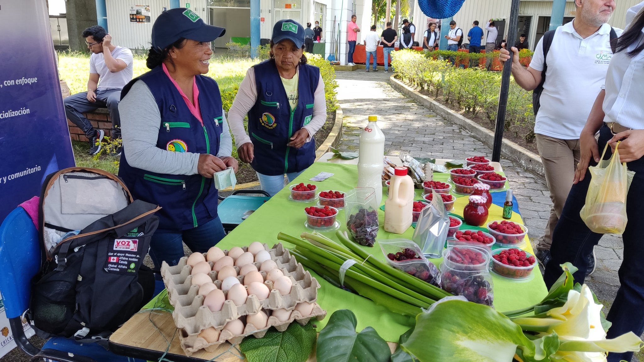 Sena ofrece $25.000 millones para apoyar emprendimientos campesinos: cómo aplicar