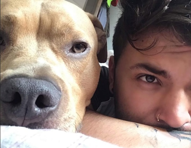 Murió Magnus, perrito de Camilo Triana que conmovió a miles por su lucha contra el cáncer