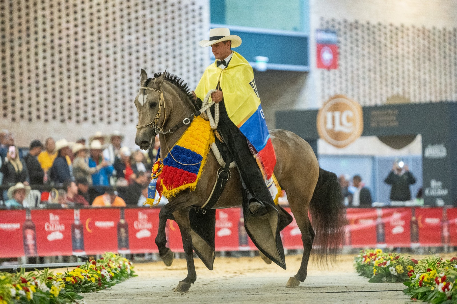 Todo listo para el XVII Mundial de Caballos de Paso 2025: más de 900 ejemplares