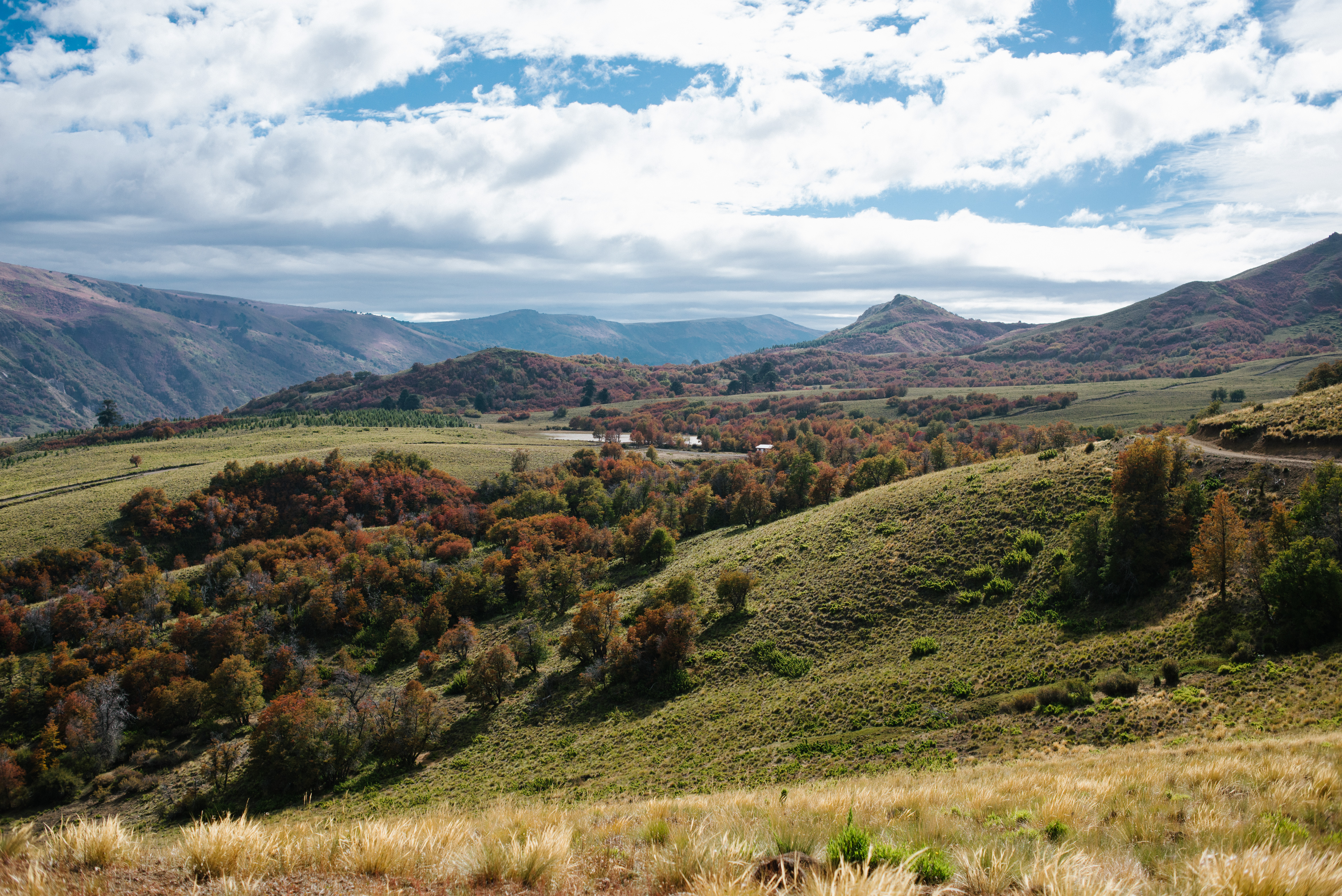 La Organización para la Alimentación y la Agricultura (FAO), con el financiamiento del Fondo Verde para el Clima (FVC), está implementando proyectos de conservación de bosques nativos, que incluyen la generación de medios de vida y la preservación de tradiciones ancestrales de comunidades rurales de Argentina, Colombia y Chile.
