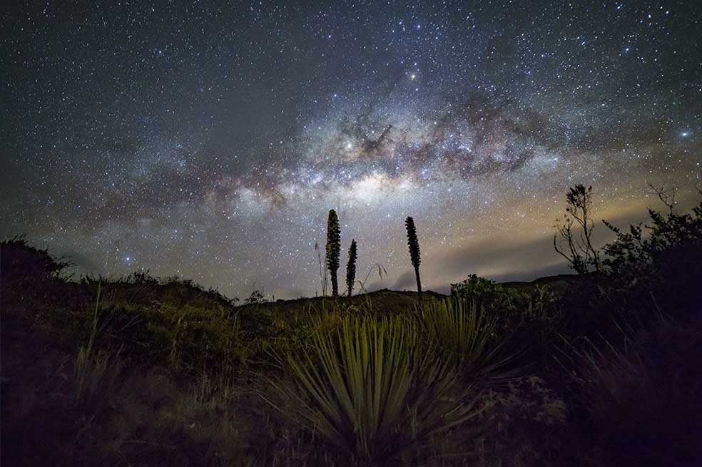 Lo que dicen las señales relacionadas con las primeras estrellas del universo