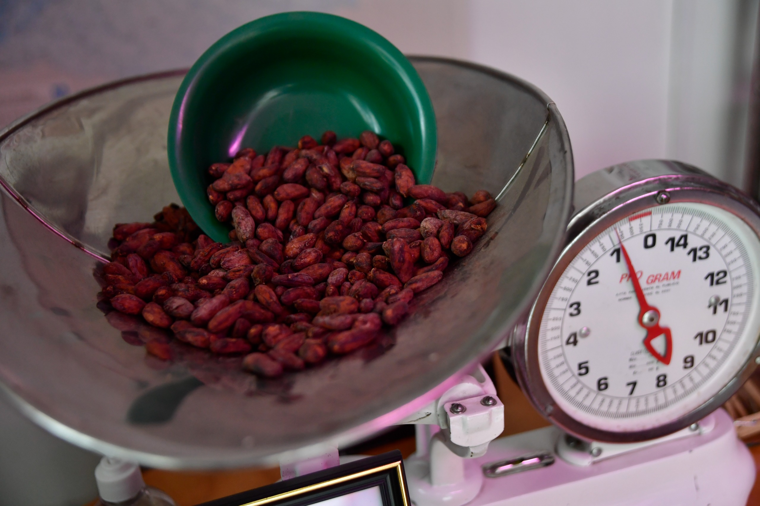 El italiano que viajó a Colombia por el cacao y hoy trabaja con cientos de campesinos