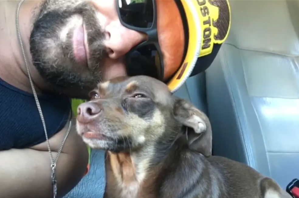 (Video) Ocho años sin su perro y un mensaje inesperado le devolvió la esperanza