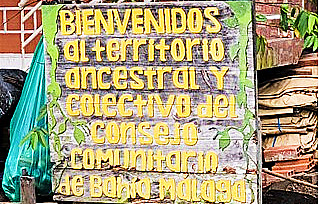 El Consejo Comunitario de Bahía Málaga posee un título colectivo con una extensión de cerca de 40.000 hectáreas.