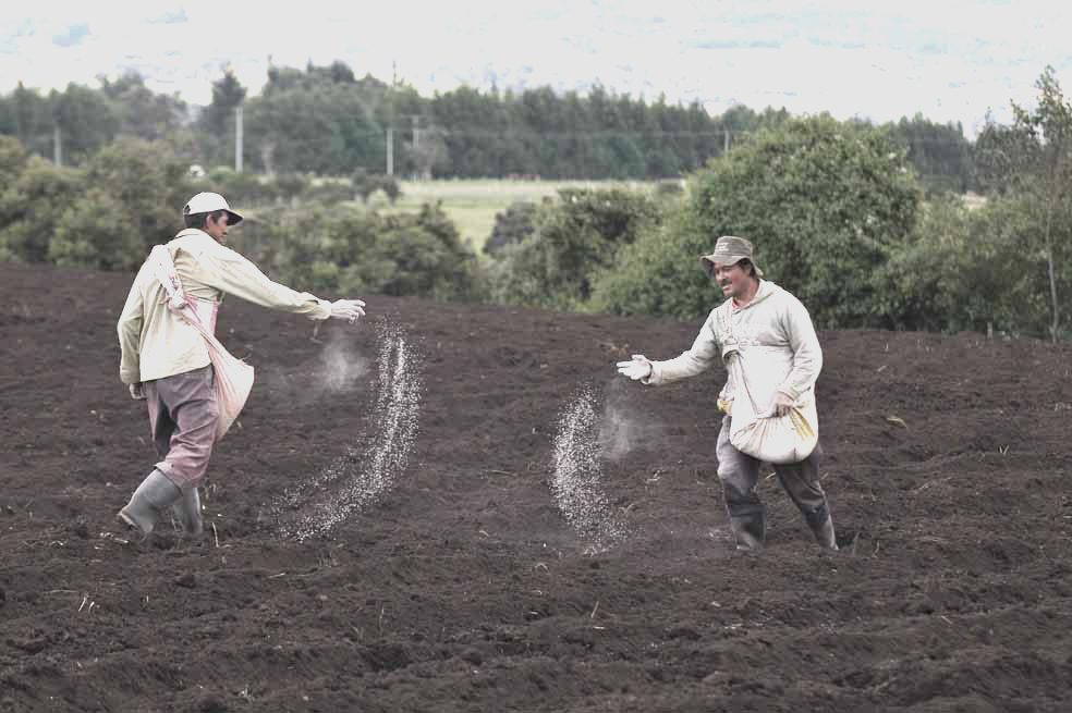 Con tutela, campesinos pedirán ser diferenciados en el censo poblacional