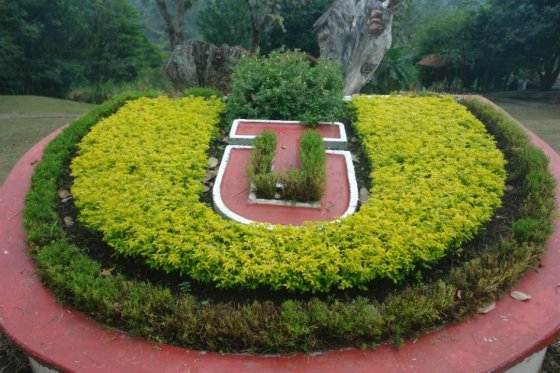Universidad del Tolima le debe $30 mil millones a la Gobernación