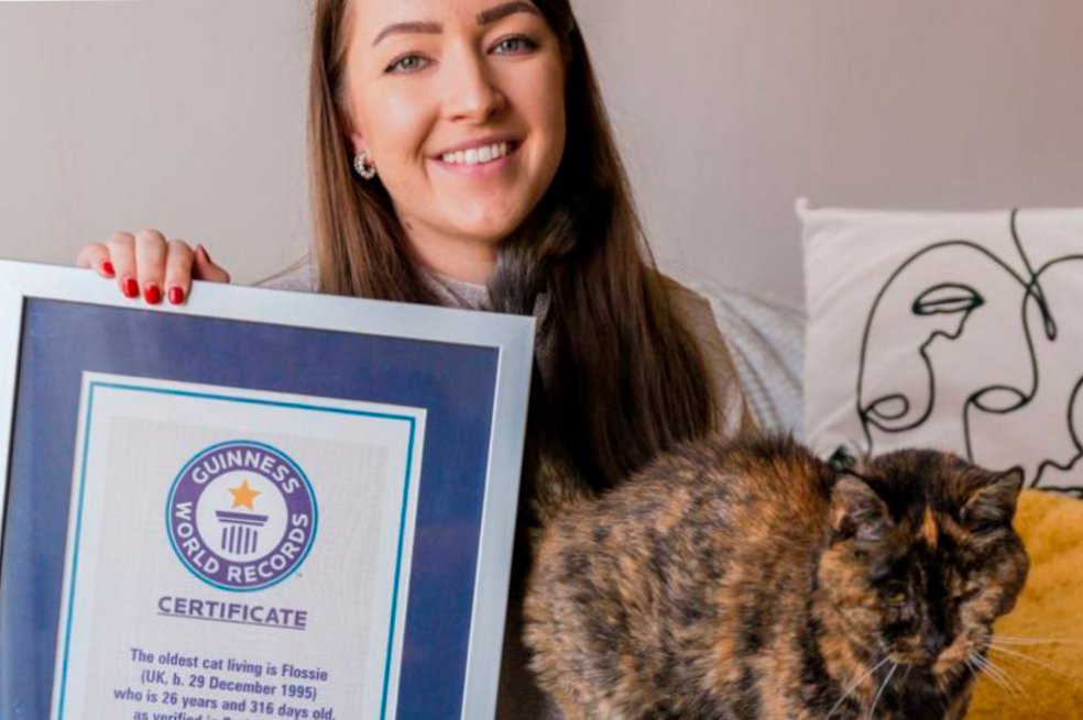 Ella es Flossie, la gata más vieja del mundo con casi 27 años