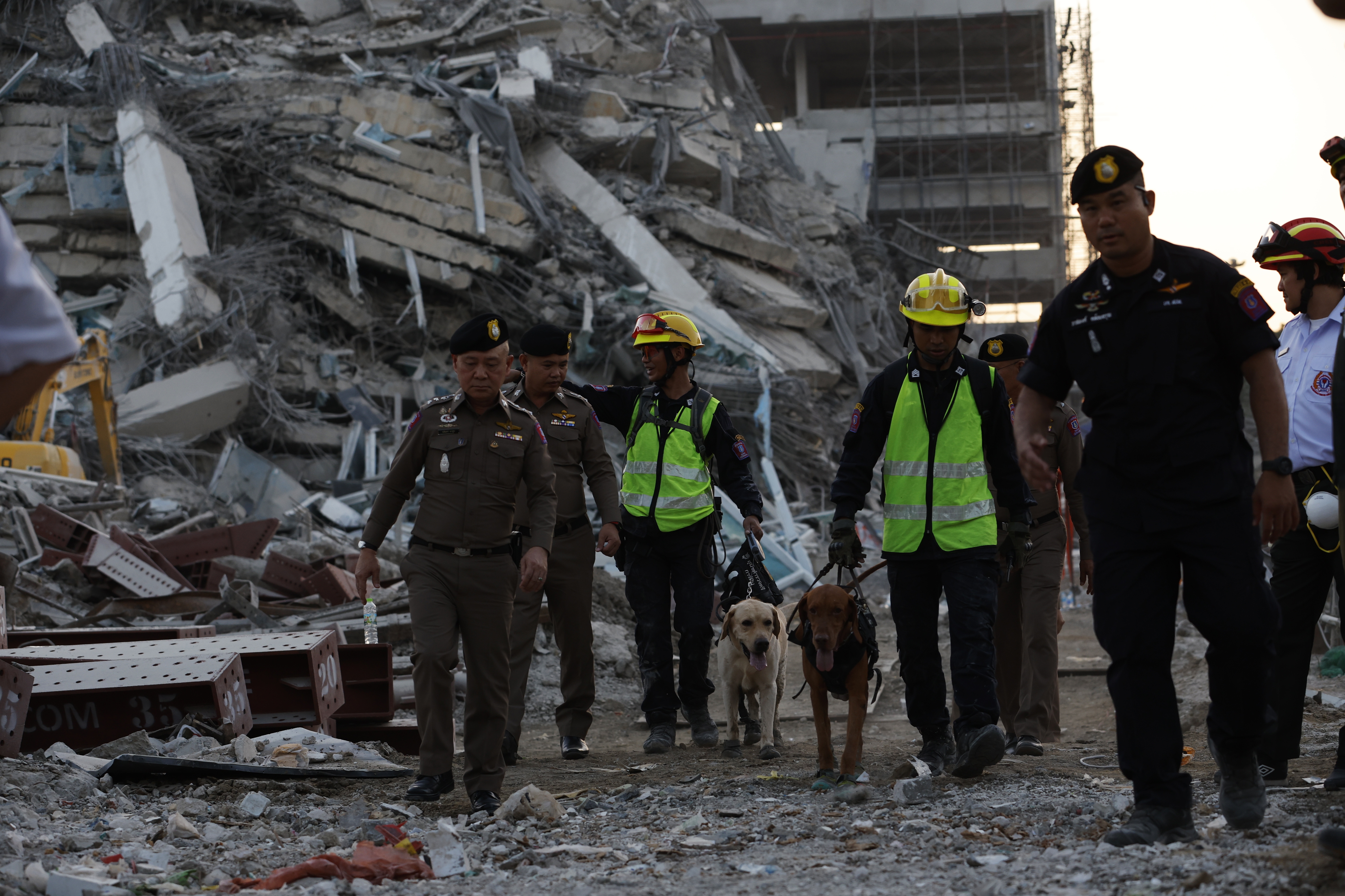 Bangkok (Thailand), 28/03/2025.- Rescue workers search for survivors with sniffer dogs at the site of a collapsed building following an earthquake in Bangkok, Thailand, 28 March 2025. According to the National Institute for Emergency Medicine, 70 construction workers are missing at the site following a 7.7-magnitude earthquake that struck Myanmar and caused tremors that could be felt in neighboring Thailand. (Terremoto/sismo, Birmania, Tailandia) EFE/EPA/RUNGROJ YONGRIT