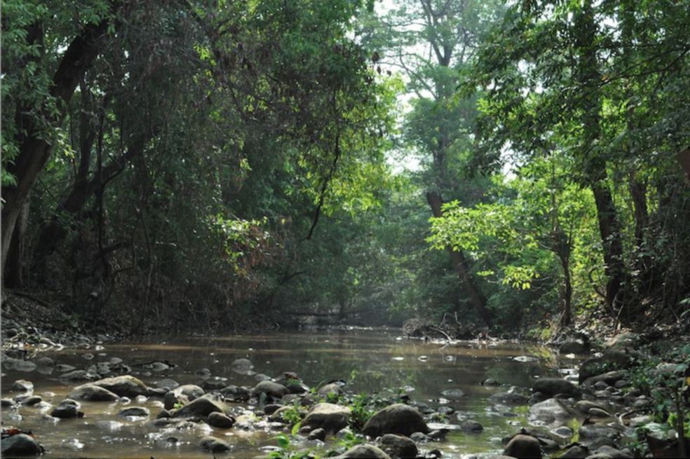 Autoridades regionales, rajadas en medioambiente
