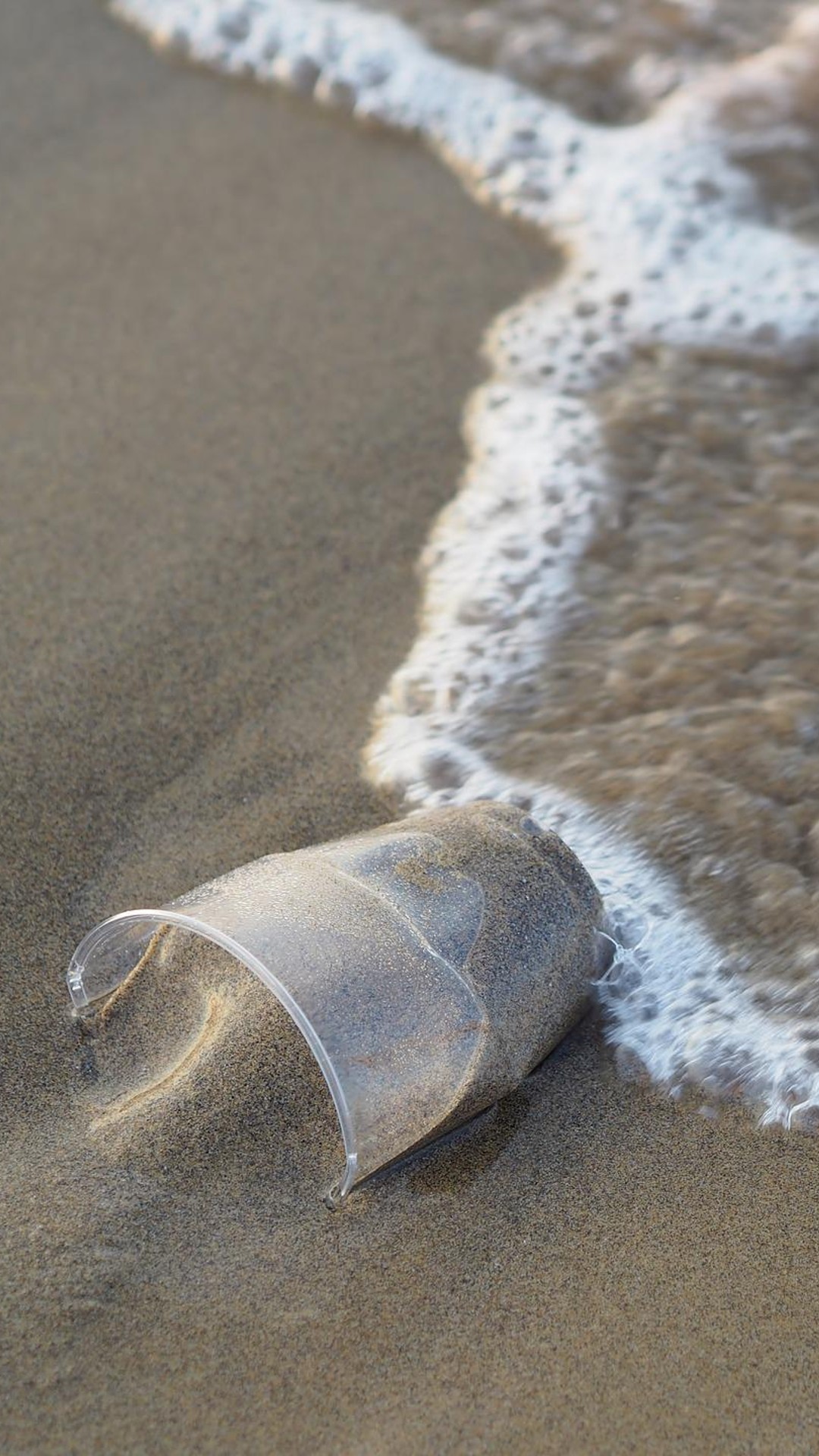 Nuestra salud está ligada a la del mar: ONU pide revitalizar los océanos