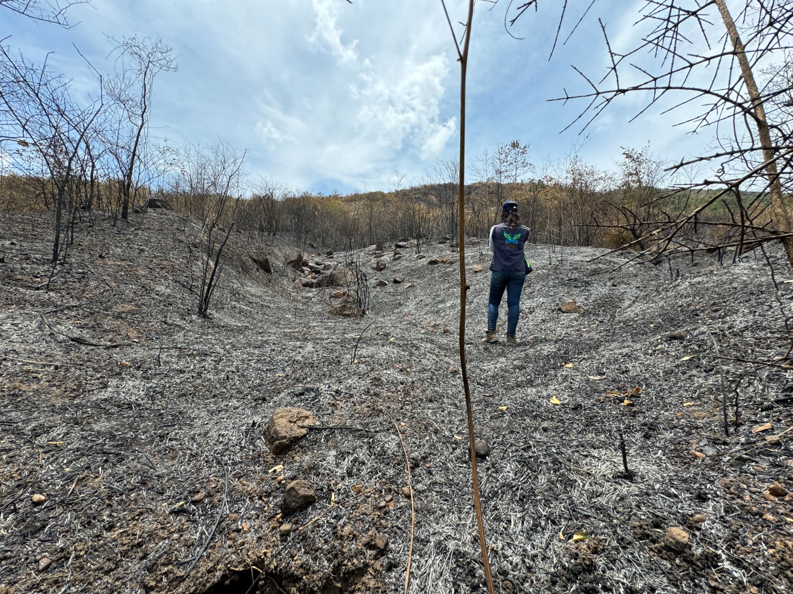 Anuncian sanciones por incendios que devoraron 19 hectáreas de área de protección