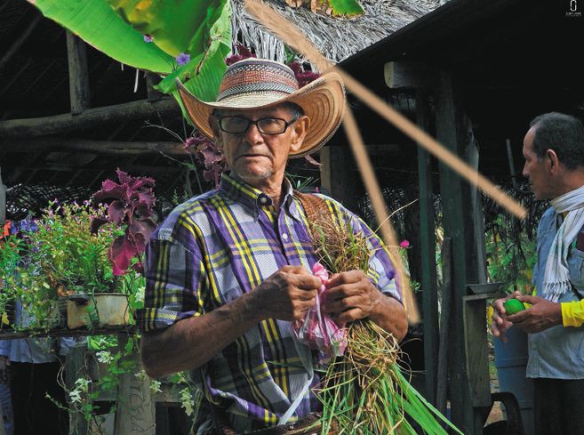 Un campesino o indígena con un ABIF saca de 15 a 25 productos para consumo