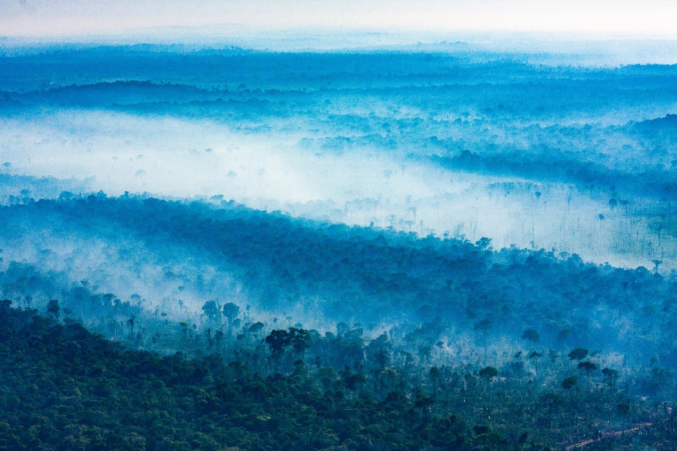 Sin los bosques amazónicos, las ciudades seguirán ardiendo