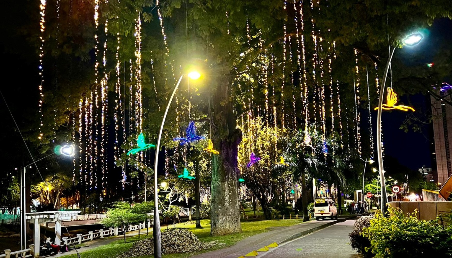 Las críticas a los alumbrados navideños en Cali