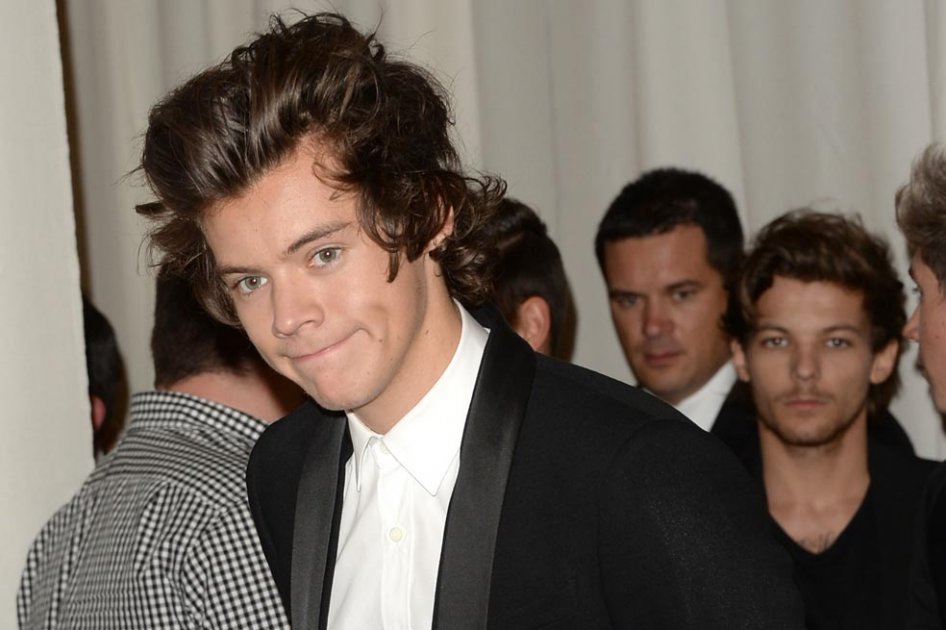 Que nadie moleste a Harry Styles, líder de One Direction