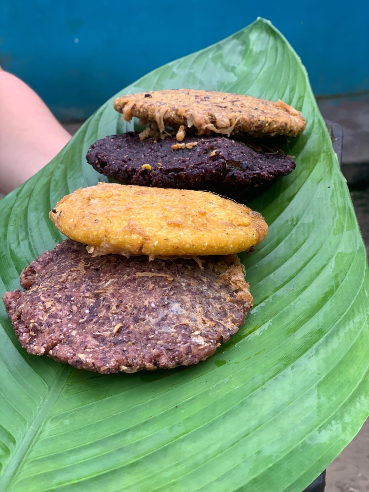 Variedades de arepas con maíces criollos en territorio indígena Zenú