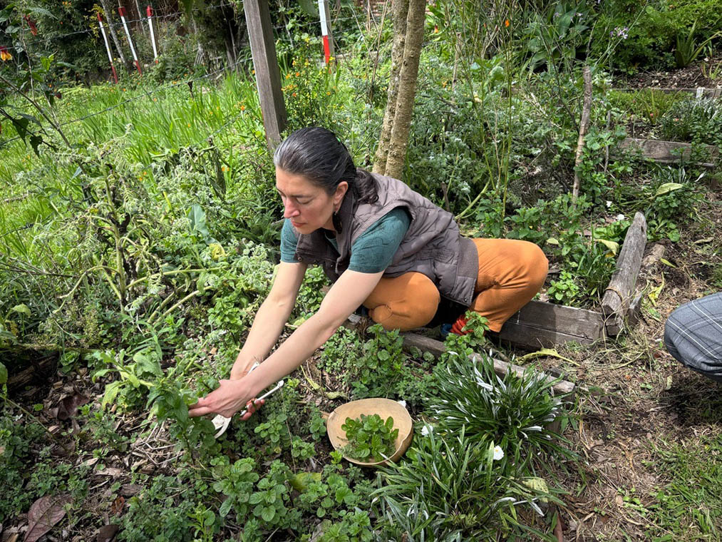 Medellín abre convocatoria para impulsar emprendimientos rurales de jóvenes y mujeres