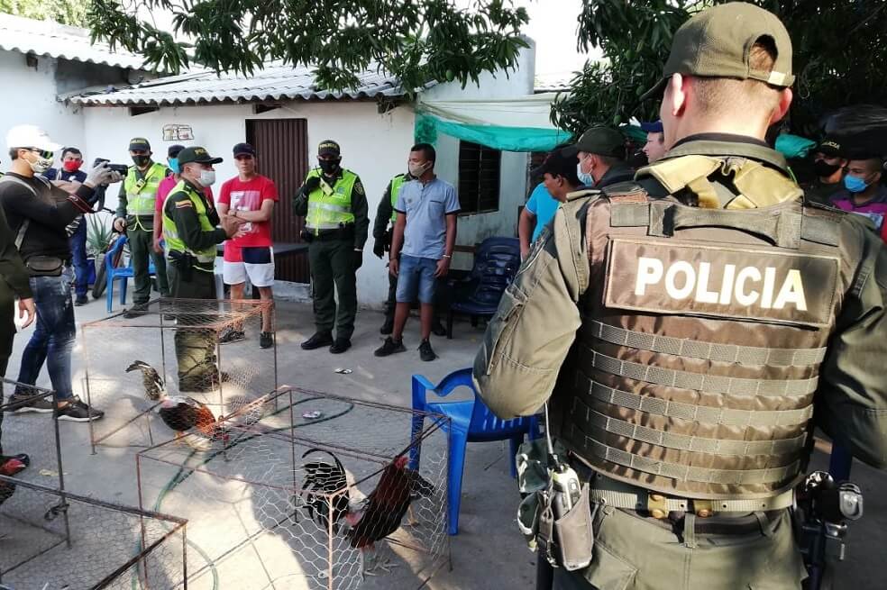 Capturan a 14 personas en Valledupar por estar en una gallera clandestina y violar la cuarentena