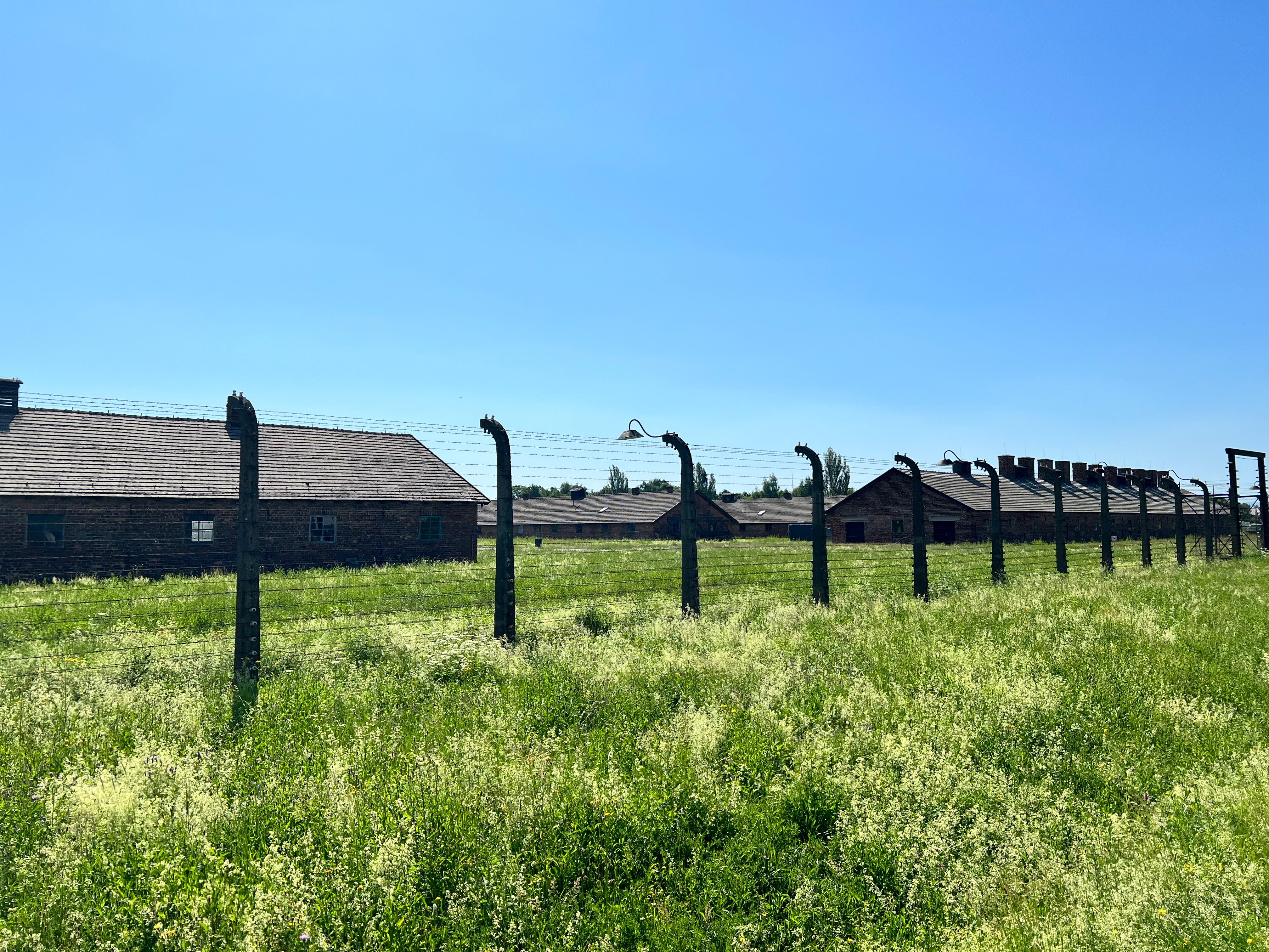 Auschwitz y Gaza