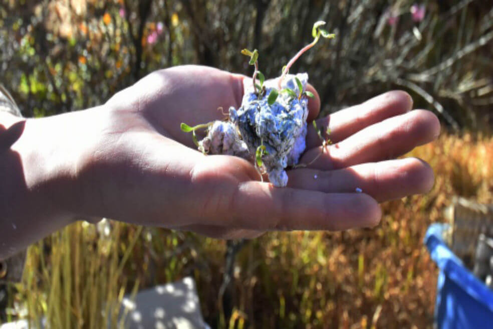 Papeles reciclados que florecen, una apuesta por el medioambiente