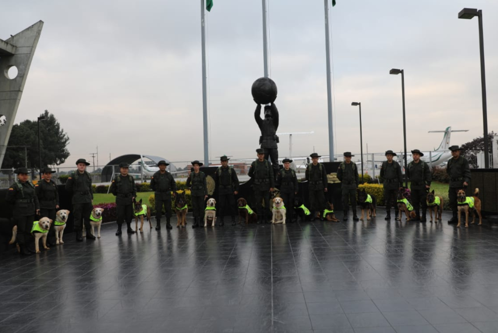 Así fue la primera ceremonia de adopción de perros jubilados de la Policía Antinarcóticos