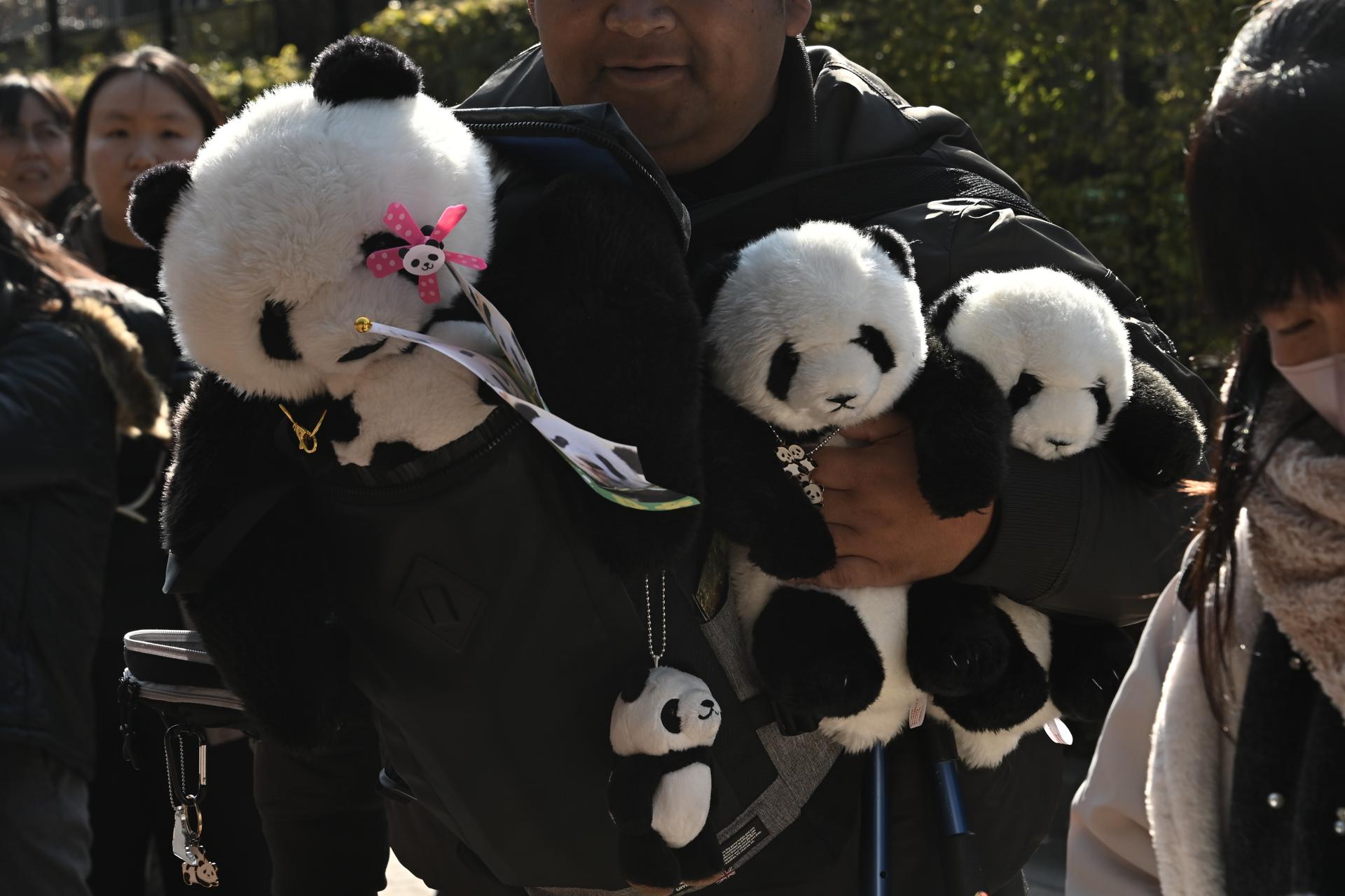 TOKYO (Japan), 27/01/2026.- People gather to bid farewell to a truck carrying giant pandas Xiao Xiao and Lei Lei in Tokyo, Japan, 27 January 2026. With the departure of twin giant pandas Xiao Xiao and Lei Lei, Japan is left without any giant pandas for the first time in 50 years. (Japón, Tokio) EFE/EPA/SOICHIRO KORIYAMA
