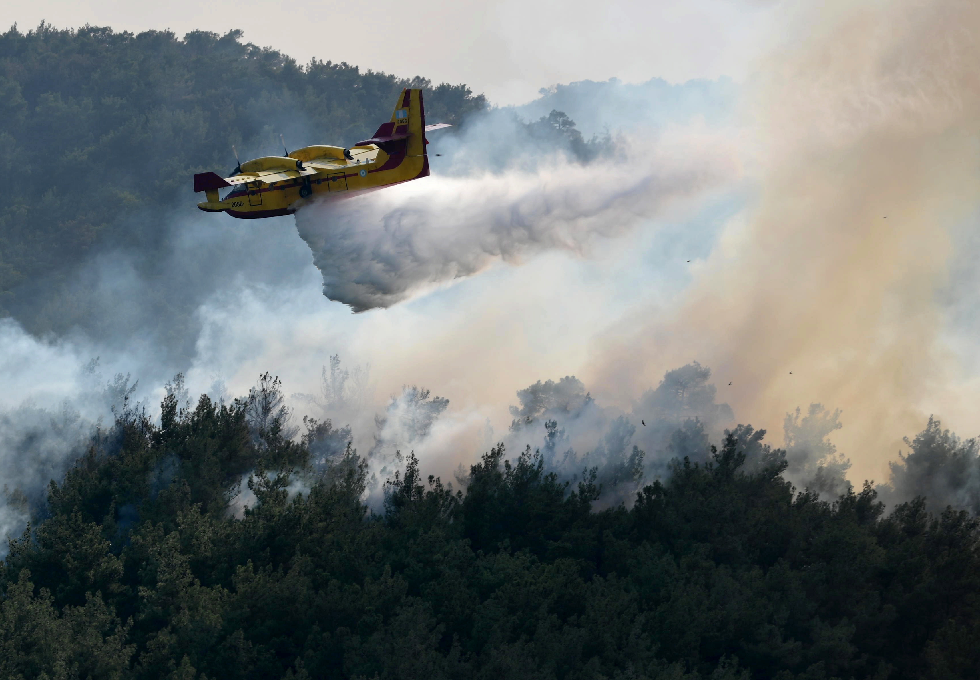 Dadia (Greece), 24/08/2023.- A firefighting aircraft operates during a wildfire at Dadia forest, Thrace, northern Greece, 24 August 2023. Greek and foreign firefighters and volunteers, along with land and air assistance, battled for a sixth day to contain and put out the large fire in the natural habitat of the Dadia Forest. The forest has suffered extensive damage and it is feared that Black Vultures (Aegypius monachus) that live in the forest along with another 35 species of birds of prey will be greatly affected. The smoke that has covered the area has made assessment of the damage impossible. Albanian firefighters who arrived with five fire trucks relieved their colleagues from Romania, while firefighters from the Czech Republic surveyed the area to organize their operations in the coming days. (incendio forestal, República Checa, Grecia, Rumanía) EFE/EPA/DIMITRIS ALEXOUDIS