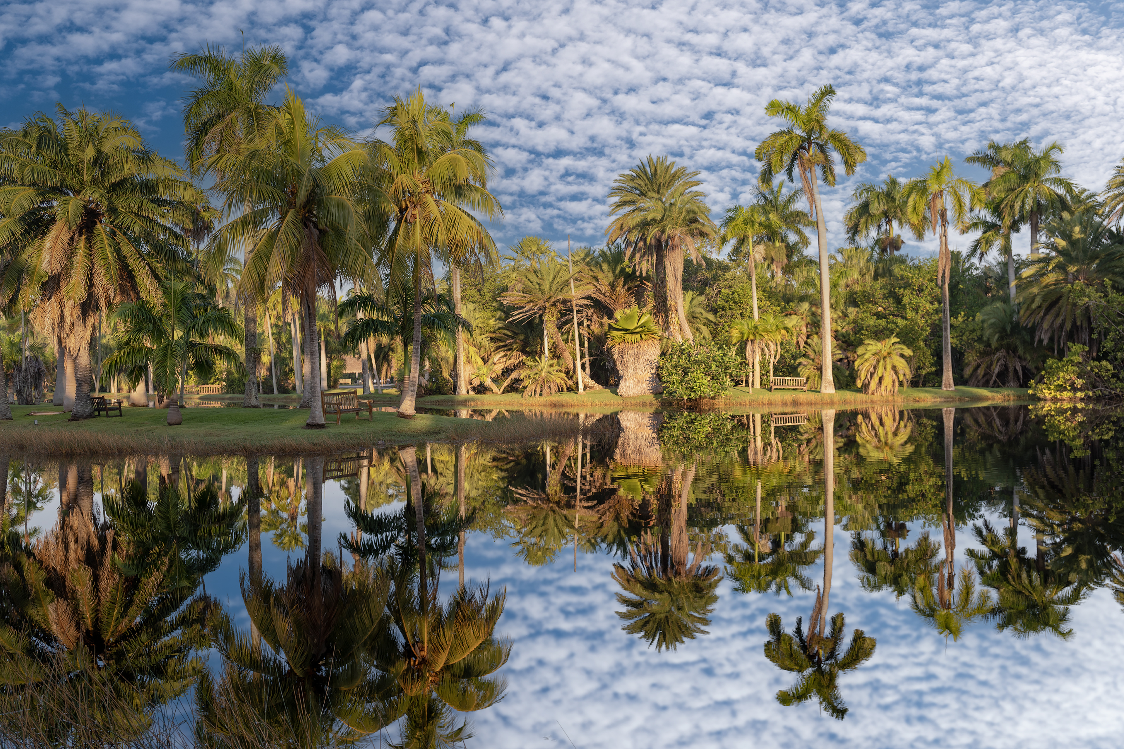 En fotos: Fairchild, un recorrido por uno de los mejores jardines del mundo