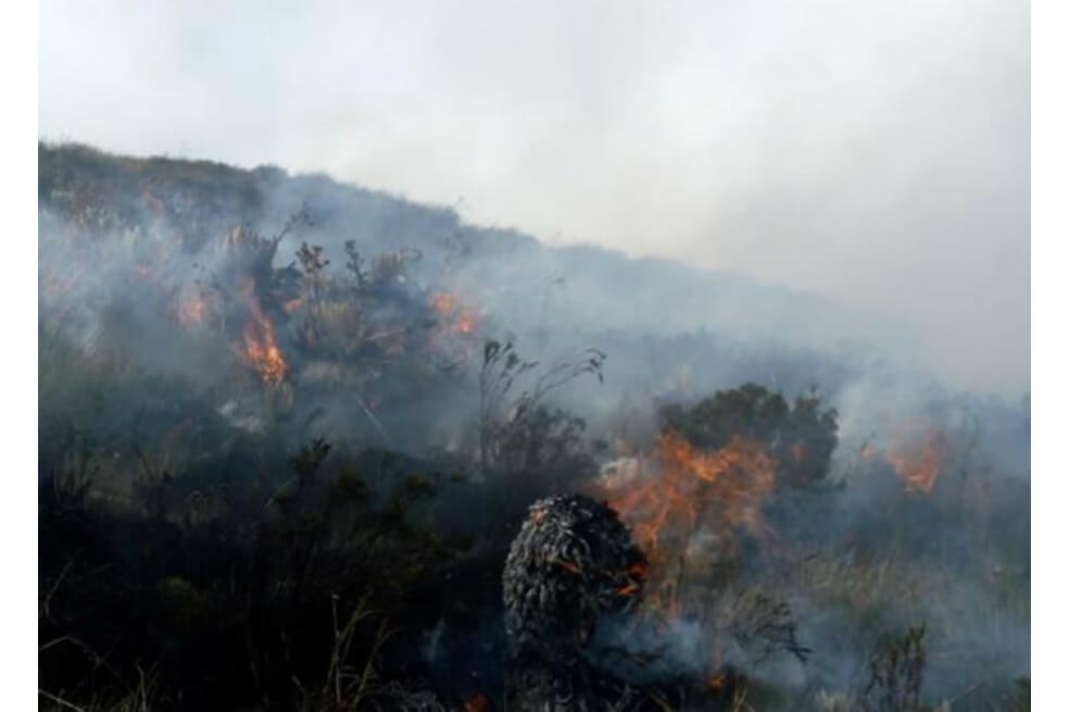 Alrededor de 400 hectáreas se quemaron tras incendio en el páramo de Berlín, Santander