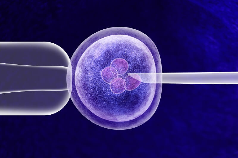 La historia de dos parejas que entutelaron para acceder a fertilización in vitro y ganaron