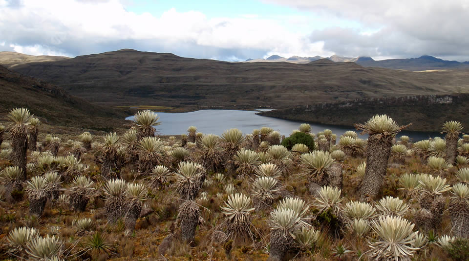 CAR suspende actividades turísticas en áreas protegidas de los páramos de Sumapaz y Cruz Verde