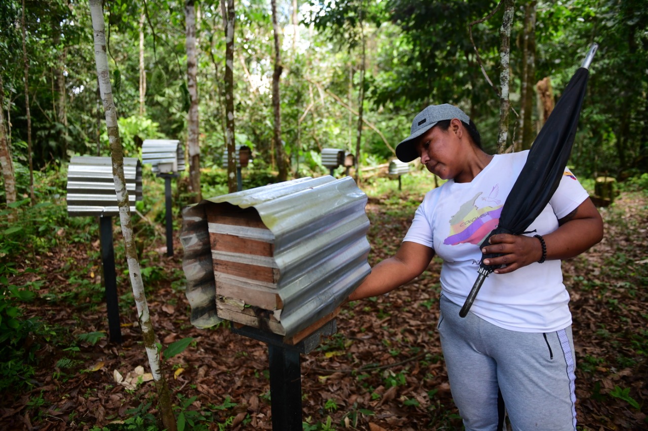 Las mujeres excombatientes están impulsando su proyecto productivo para producir miel y generar un ecosistema productivo para las abejas.