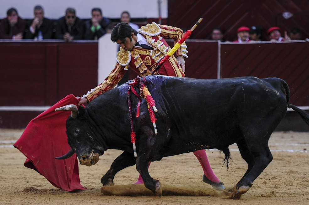 «No habrá temporada taurina en Medellín»: Federico Gutiérrez