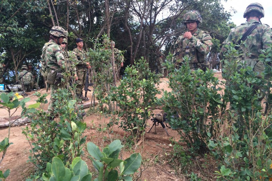 Colombia tiene que estudiar mucho más relación entre droga y conflicto: ONU