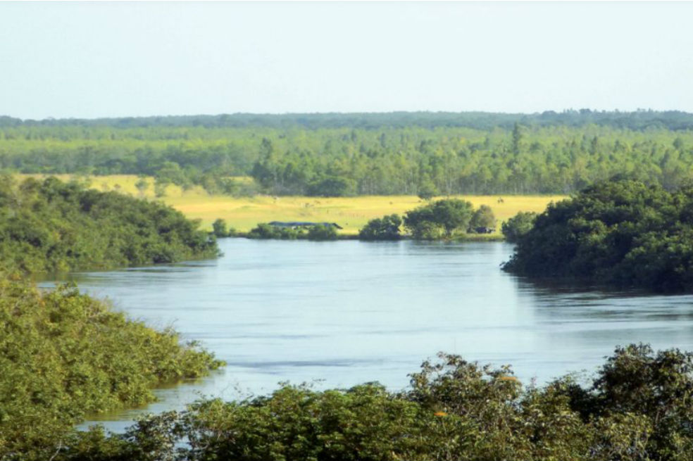 El río Bita en Vichada, nuevo humedal Ramsar de Colombia