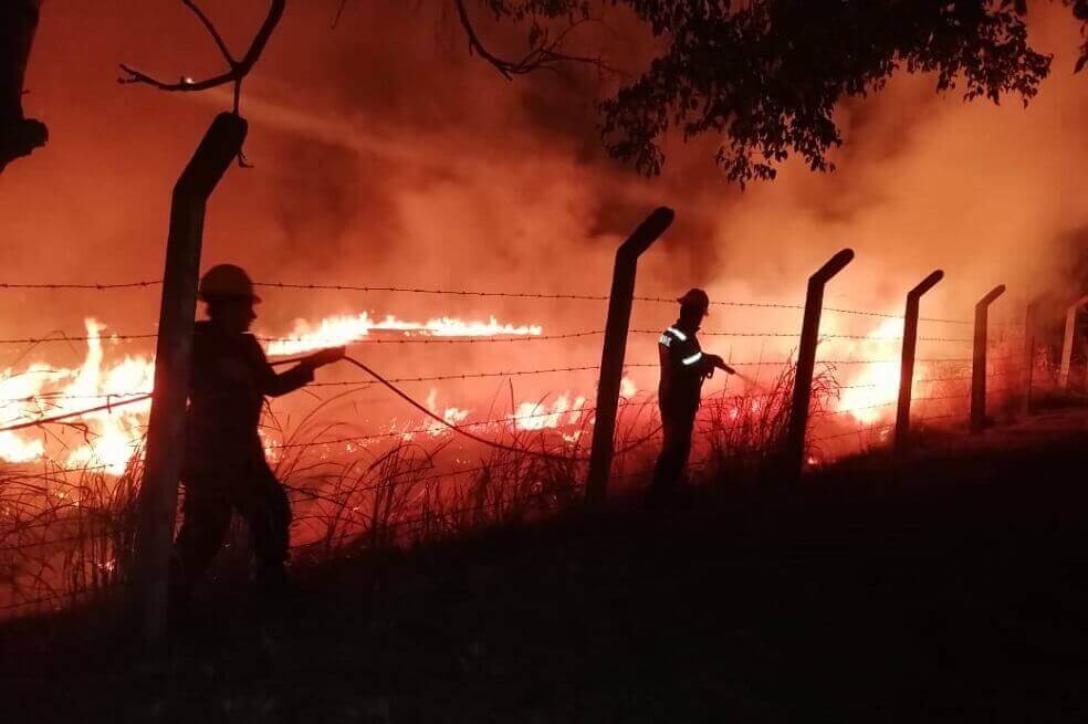 Tumba y quema: hay 1.770 focos de calor activos en la Amazonia colombiana