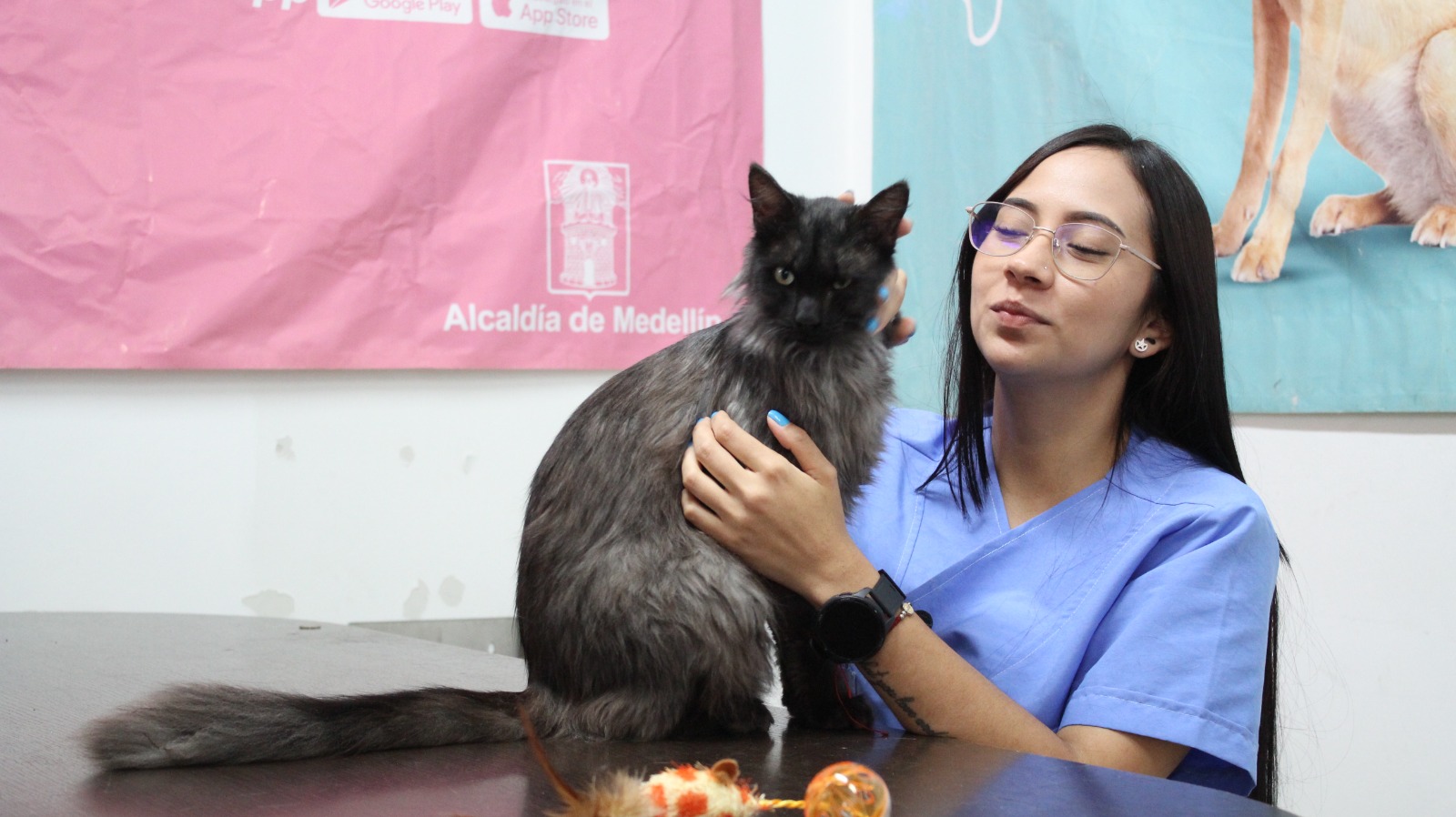Pelusa, un gato con inmunodeficiencia, recibió una segunda oportunidad y fue adoptado