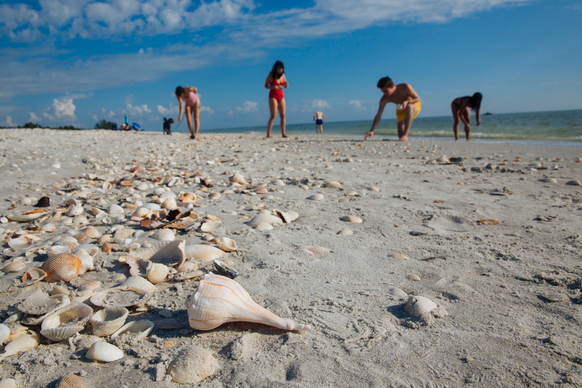 Sanibel, en el suroeste de Florida, es conocida como la "capital de las conchas". / Cortesía