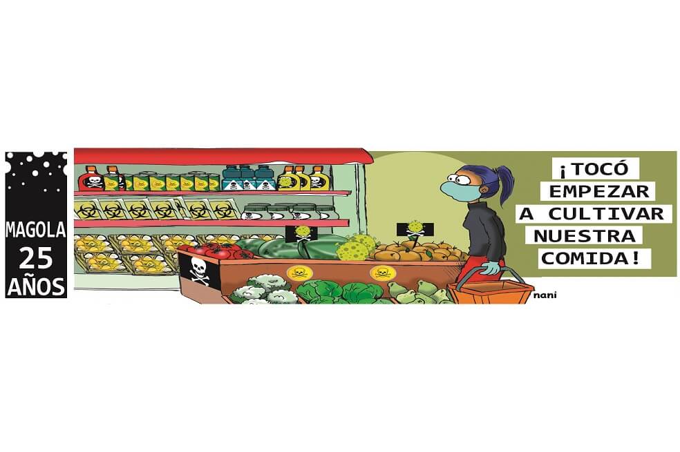 Magola