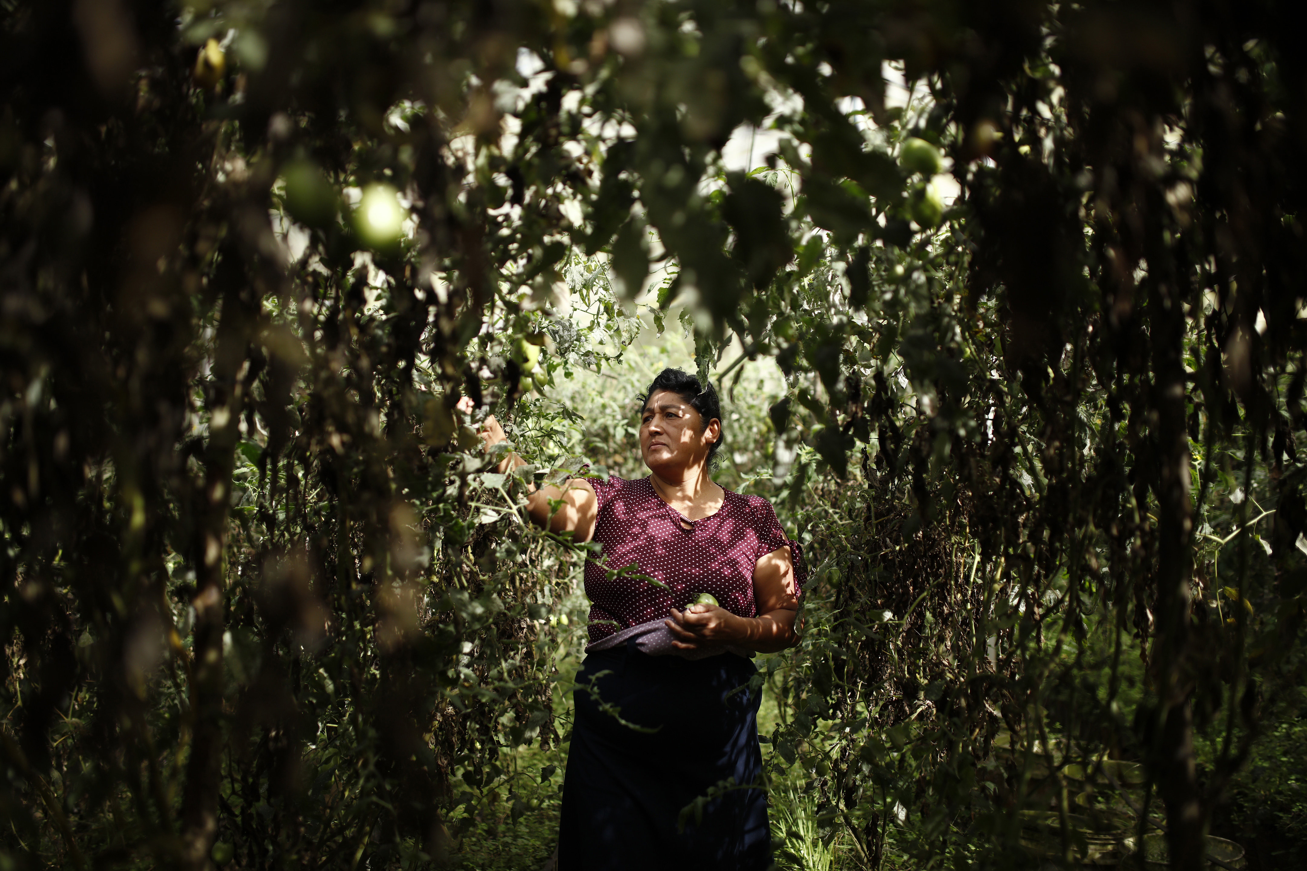 Desigualdad rural en el trabajo: la realidad de las mujeres en el campo