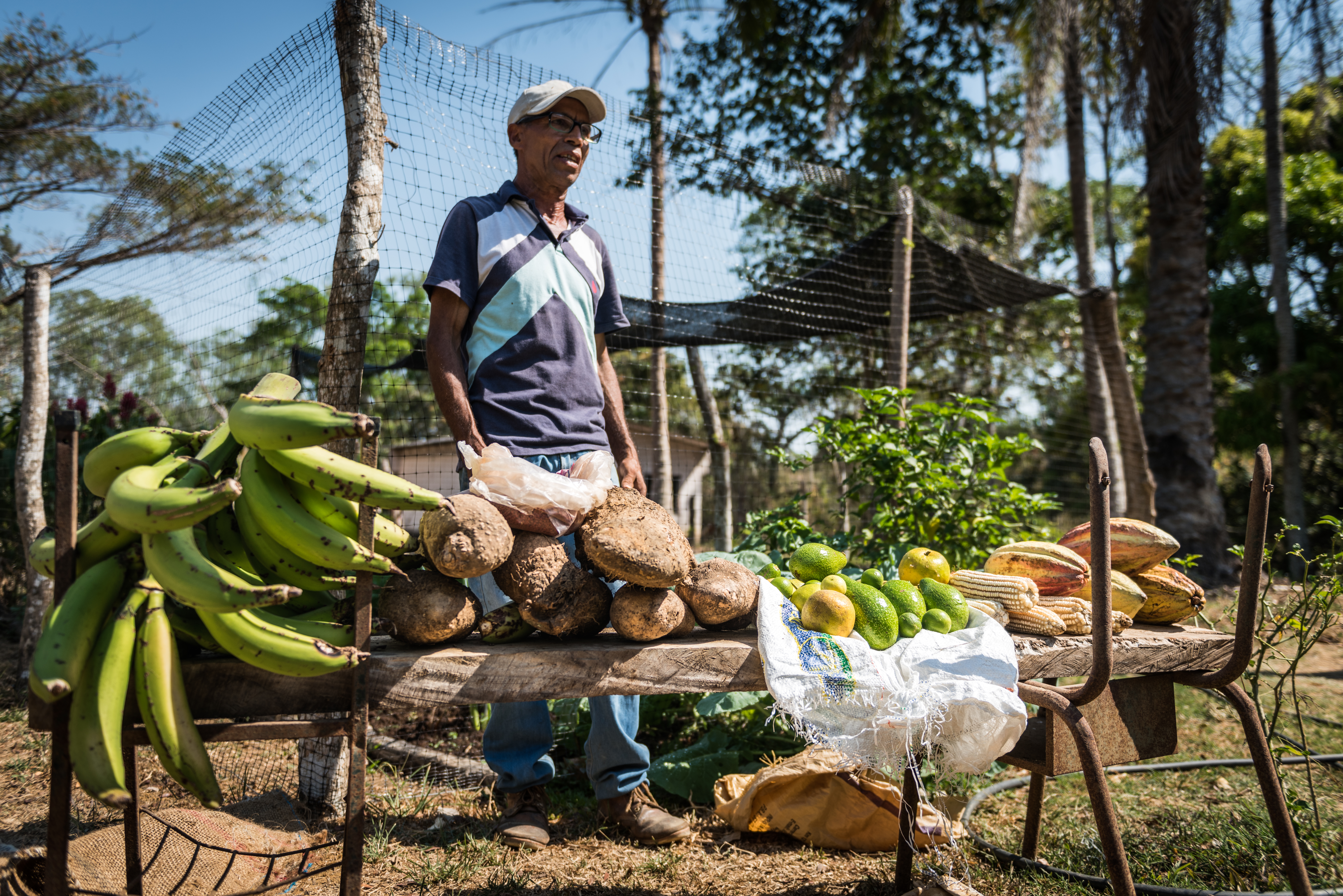 El PNUD Colombia recorrerá las regiones de: La Guajira, La Mojana, Región Central, Nariño y Amazonía.