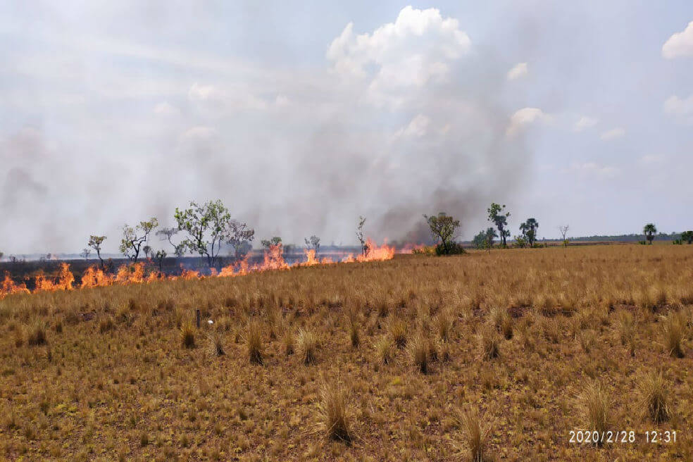 Continúa incendio en el Parque El Tuparro (Vichada): hay 1160 hectáreas afectadas