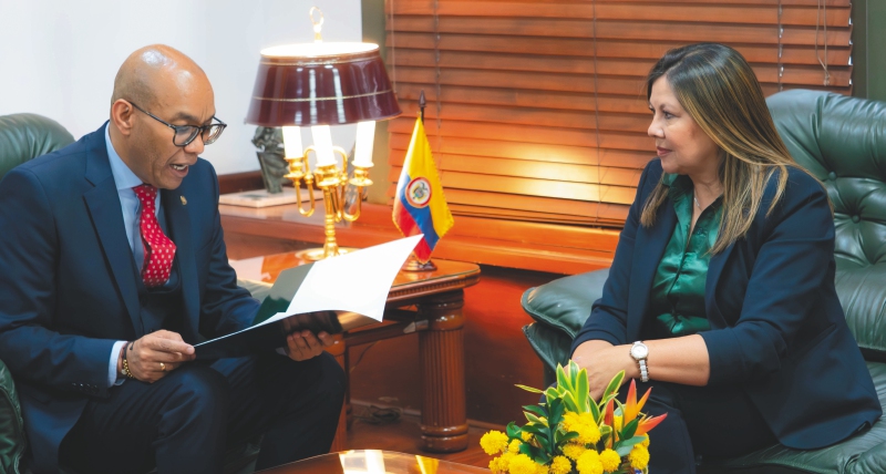 Los grandes casos que tendrá que resolver Luz Adriana Camargo, la nueva fiscal